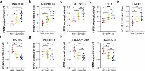 Figure 8. Validation of the bioinformatics results using RT-qPCR assay. Comparison of LINC00900 (a), MIR210HG (b), MIR22HG (c), PVT1 (d), SNHG18 (e), HAR1A (f), LINC00641(g), SLC25A21-AS1 (h), and SNAI3-AS1 (i) mRNA expression levels in NBT, LGG, and GBM tissues. ns P > 0.05, * P < 0.05, ** P < 0.01, and *** P < 0.001