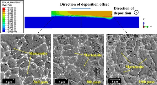 Figure 27. Comparison of martensite distribution between the prediction and experiments.