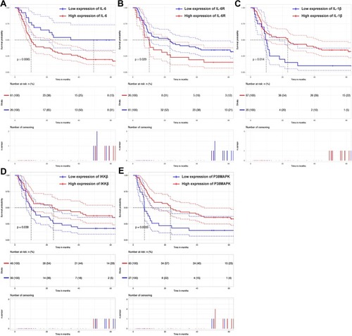 Figure 2 Kaplan-Meier survival plots comparing DFS for HCC patients stratified by low and high expression levels. (A) The DFS of patients with high IL-6 expression levels was worse than that of patients with low IL-6 expression levels (P=0.0065). (B) The DFS of patients with high IL-6R expression levels was worse than that of patients with low IL-6R expression levels (P=0.029). (C) The DFS of patients with high IL-1β expression levels was better than that of patients with low IL-1β expression levels (P=0.014). (D) The DFS of patients with high IKKβ expression levels was better than that of patients with low IKKβ expression levels (P=0.038). (E) The DFS of patients with high P38MAPK expression levels was better than that of patients with low P38MAPK expression levels (P=0.0033).Abbreviations: DFS, disease-free survival; HCC, hepatocellular carcinoma; IL-6, interleukin-6; IL-6R, interleukin-6 receptor; IL-1β, interleukin-1 beta; IKKβ, inhibitor kappa B kinase beta; P38MAPK, p38 mitogen-activated protein kinase.