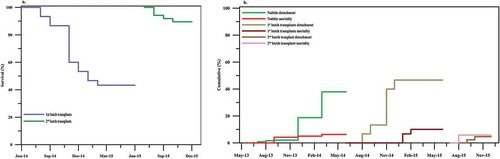 Figure 3. Survival, mortality and detachment (%), (a) survival of transplants and (b) detachment and mortality in nursery reared nubbins and transplants.