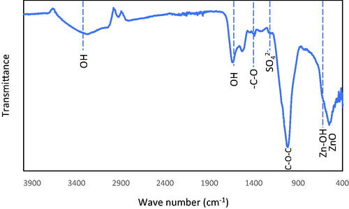 Figure 6. FT-IR spectrum of ZnO NPs synthesized using B. haynesii (CDL3).