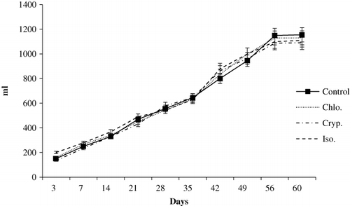 Figure 3. Lambs growth curves from birth to day 60 of life.