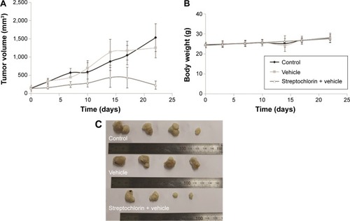 Figure 5 Antitumor activity of streptochlorin 5 mg/kg against SNU478 cells.