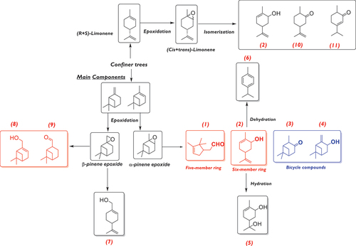 Figure 9. The most relevant isomerization products from α-, β-pinene and limonene epoxides by using acidic heterogeneous and homogeneous catalysts. 1=Campholenic aldehyde, 2=Carveol, 3=Pinocamphone, 4=Pinocarveol, 5=trans-sobrerol, 6=p-cymene, 7=Perillyl alcohol, 8=myrtenol, 9=Myrtanal, 10= Dihydrocarvone, 11= Carvenone.