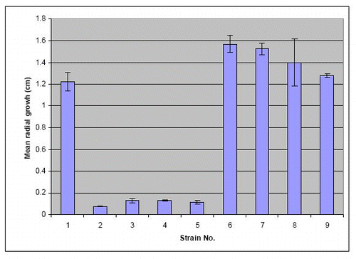 Figure S6. Radial extension measurements by determining the area of plastic colonized after 3 d on a plastic surface from images like in Figure S3 and then calculating what radial growth is needed to produce a completely circular colony with the same area. Error bars = SEM. For strain No explanation see slide 1.