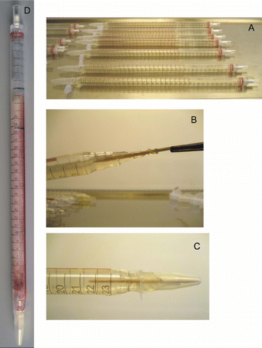 Figure S7. Preparation of fungal race pipettes showing the new techniques. Pipettes just poured and capped with sterile Eppendorf tubes (A). Inoculation of pipettes with the aid of a sterile toothpick (B). The final capped tube with capping Eppendorph tube secured with cello tape (C) (lid cut off the tube). Race pipette after incubation and readings (D) (markings were mainly done on the underside of this pipette).