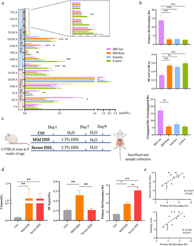 Figure 5. The composition of serum bile acids in pediatric IBD patients and DSS colitis mice. (a) Graph illustrating the absolute concentration of serum bile acids among the four groups of cohort B; *p < .05, **p < .01, ***p < .001 between IBD-Act and IBD-Rem; #P < .05, ##P < .01, ###P < .001 between IBD-Act and control. (b) Comparisons of three comprehensive BA indices between the four groups. For panels a and B, hypothesis testing was conducted using the Kruskal-Wallis test, followed by multiple comparisons and corrections using Dunn’s test. (C) Schematic diagram of the murine colitis model induced by DSS. (d) Representative measurements of serum bile acids in the three mouse groups. Hypothesis testing was performed using one-way ANOVA, while multiple comparisons and corrections were carried out using the Bonferroni method. (e) Pearson correlation analysis of the PBA/SBA ratio and disease indicators in all DSS mice; *p < .05, **p < .01, ***p < .001.