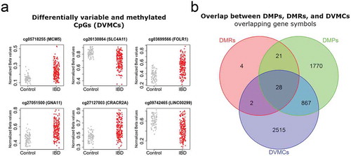 Figure 2. Mean DNA methylation and variability distinguishes IBD from healthy intestinal epithelial cells.