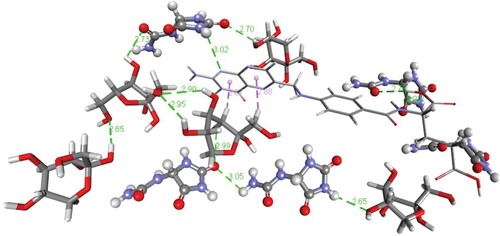 Figure 5. Conventional hydrogen bonding and pi-sigma interactions in the allantoin-(β-D-)fructose (5:5) system in the presence of a single folic acid molecule as revealed by simulations of molecular mechanics. Fructose and folic acid are shown by thick and thin stick models, respectively, whereas ball and stick models represent allantoin.