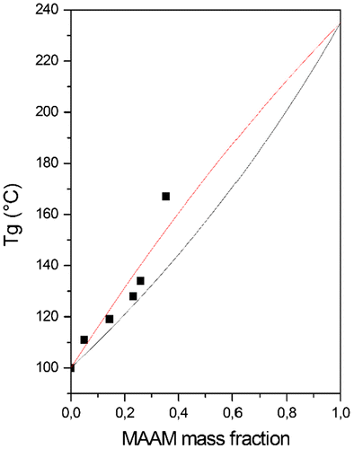 Figure 3. Glass transition temperature (°C) vs. MAAM mass fraction in P(MAAM-co-St) copolymers, ■ experimental point; – fits Tg respecting Fox equation; – fits Tg respecting Kwei equation.