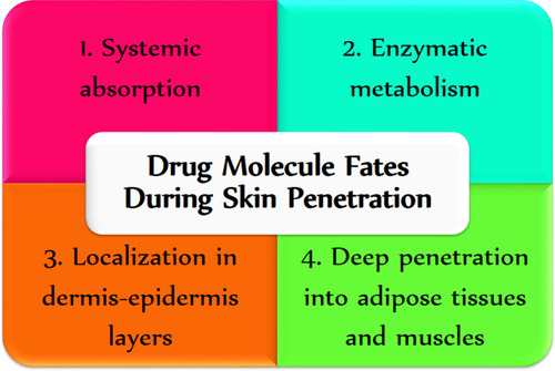 Figure 1 Drug molecule fates during skin penetration across stratum corneum.