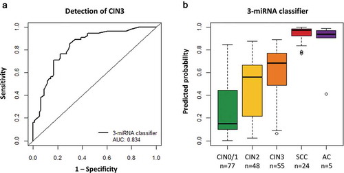 Figure 2. Performance of the 3-miRNA classifier for the detection of cervical disease. (a) Results obtained from 77 hrHPV-positive scrapes from women without underlying disease (CIN0/1) and 55 scrapes from women with CIN3 were used to build a 3-miRNA classifier for the detection of CIN3. The diagonal line indicates an AUC of 0.5. (b) Predicted probabilities (i.e. risk of CIN3; value range 0 to 1) obtained for all samples using the 3-miRNA classifier.AUC, area under the curve; CIN, cervical intraepithelial neoplasia; SCC, squamous cell carcinoma; AC, adenocarcinoma.