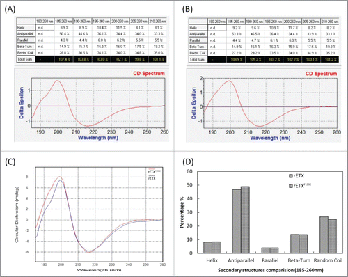 Figure 2. CD spectra and secondary structures proportion of wild-type and mutant epsilon toxin. (A) The CD spectra and secondary structures proportion of rETX. (B) The CD spectra and secondary structures proportion of rETXF199E. (C) Comparison between the CD spectra of the 2 proteins. (D) Relative ratio of different types of secondary structures of the 2 proteins.