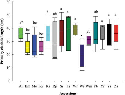 Figure 2. Length of primary cladodes in accessions of cactus pear after six years.