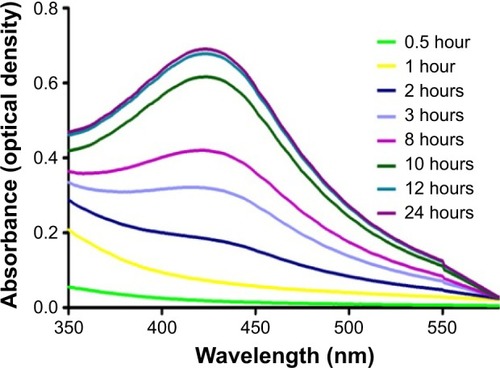 Figure 2 Time-dependent absorption spectra of silver nanoparticles after the bioreduction of silver in the aqueous extract of Gymnema sylvestre.