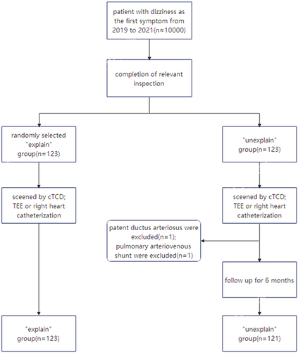 Figure 3 Flowchart in the study.