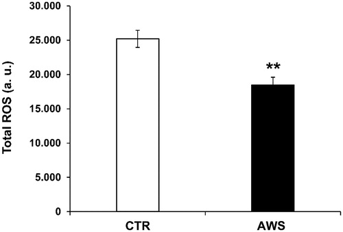 Figure 7. AWS effect on total ROS blood levels in C57BL/6J female mice. Analysis of the total ROS levels (arbitrary units, a.u.) on the plasma samples collected from both CTR and AWS groups immediately before the sacrifice. Analysis of the total ROS levels was performed with a colorimetric assay and measured on a spectrophotometer off the 488 nm (blue laser) in the FITC channel. Data are normalised on total plasma and expressed as means ± SE. **p < 0.005.