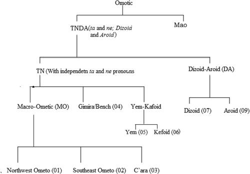 Figure 1. Omotic family overview, based on Bender (Citation2000).