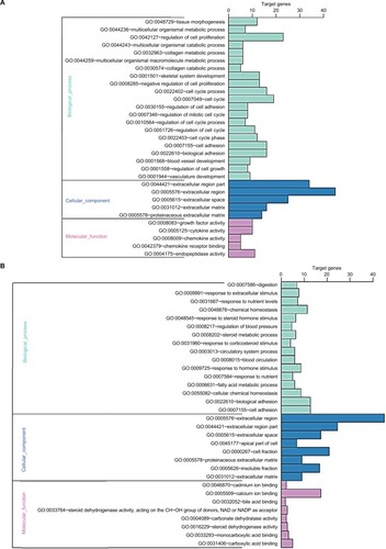 Figure 2 GO enrichment analysis results of DEGs in colon cancer.Notes: (A) GO enrichment analysis results of upregulated DEGs in colon cancer. (B) GO enrichment analysis results of downregulated DEGs in colon cancer. The significant enriched GO terms of DEGs in colon cancer were based on their functions.Abbreviations: DEGs, differentially expressed genes; GO, Gene Ontology.