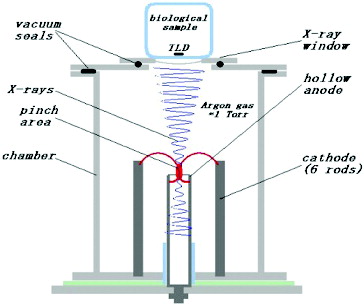 Figure 1. Diagram of the irradiation setup.