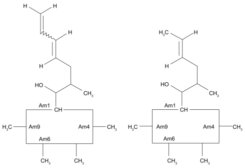 Figure 1 Comparison of structures of voclosporin (left) and cyclosporin A (right).
