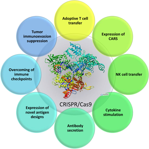 Figure 6 CRISPR/Cas9-mediated reprogramming of immune system behavior in different immune system cells.