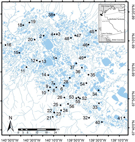 Figure 1. Location of study lakes (black circles) in the Old Crow Flats (Yukon, Canada). Numbers indicate lake name for consistency with prior work in the study region (Turner et al. Citation2010).
