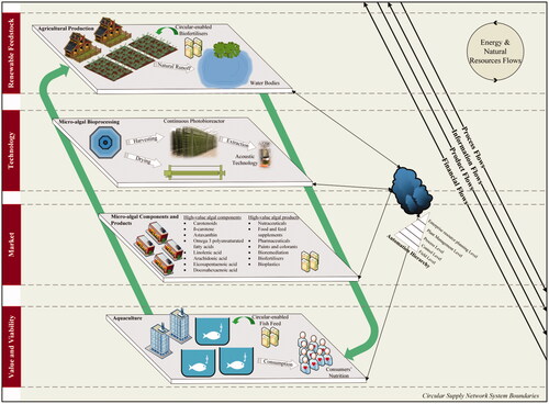 Figure 4. Circular system structure of biofertilisers and omega-3 oils for fish feed supply networks enabled by Industry 4.0.