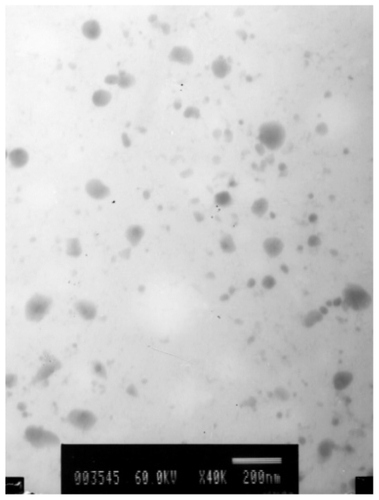 Figure 3 A transmission electron microscopy image of 2% phosphotungstic acid-stained lipid nanospheres (pH adjusted to 7.4 with 0.1 mol/L−1 NaOH after preparation) (×40,000, bar = 200 nm).