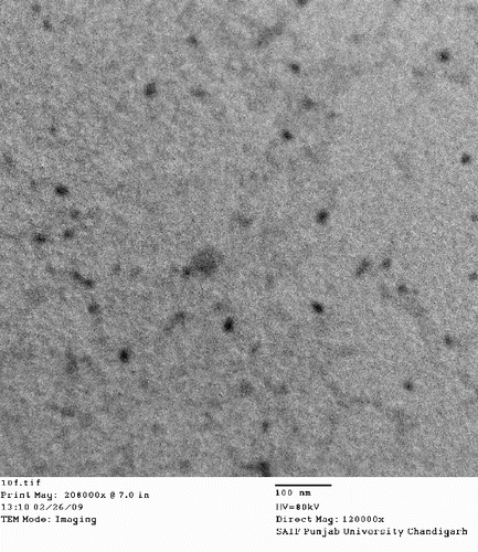 Figure 4. Transmission electron micrograph of aqueous dispersion of chitosan–itraconazole co-precipitated nanosuspension (ITN6).