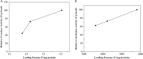 Figure 3. The effect of loading enzyme amount on cresolase (A) and catecholase (B) activities.