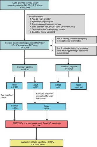 Figure 1 Study flowchart.Abbreviations: BMRT, BioPerfectus Multiplex Real-Time PCR; ≥CIN1, cervical intraepithelial neoplasia one or worse; HPV, human papillomavirus; HR-HPV, high-risk human papillomavirus; NILM, negative for intraepithelial lesion or malignancy; TCT, Thinprep® Cytologic Test.