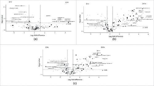 Figure 5. Volcano plots of all identified proteins based on relative abundance differences between G. mellonella larvae treated at 0, 6 or 24 hour. Volcano plots showing the distribution of quantified proteins according to p value (−log10 p-value) and fold change (log2 mean LFQ intensity difference). Proteins above the line are considered statistically significant (p value < 0.05) and those to the right and left of the vertical lines indicate relative fold changes ± 1.5. The top 20 differentially abundant proteins are annotated and all proteins associated with the stress response (grey), immune response (white) and oxidoreductase activity (black) are highlighted for (5A) 6 hour and 0 hour, (5B) 24 hour and 0 hour and (5C) 24 hour and 6 hour C. albicans treated larvae.