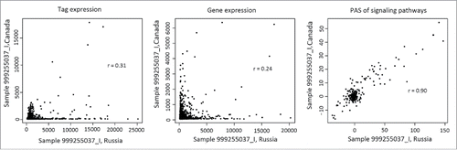Figure 4. Correlation between transcriptomic data obtained for the same representative renal carcinoma specimen using the Illumina HT12 (ordinate) and CustomArray (abscissa) microarray platforms. The panels represent (from left to right) correlation between the oligonucleotide expression tags, correlations at the level of individual genes, and correlation at the level of molecular pathways.