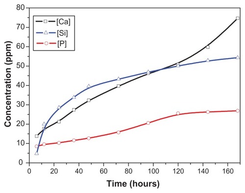 Figure 5 Changes in calcium (Ca), silicon (Si), and phosphorus (P) ion concentrations in the tris hydrochloride solution for wollastonite nanofiber–doped calcium phosphate cement with 10 wt% wollastonite nanofibers over time.