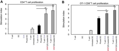 Figure S1 Proliferation of CD4+ T cells and CD8+ T cells. MNPs@SiO2(RITC) enhanced (A) antigen-specific CD4+ T cell proliferation stimulation index. (B) antigen-specific CD8+ T cell proliferation. CD4+ and CD8+ T cell proliferative responses by mBMDC pretreated with OVA, OVA-MNPs@SiO2(RITC) were assessed. *p<0.05, **p<0.01 or ***p<0.001 compared with T cell/Untreated BMDCS. #p<0.05 and ##p<0.01 compared with T cell/OVA pulsed BMDCs