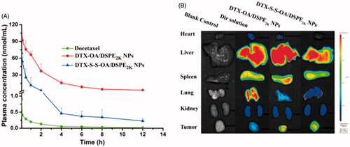 Figure 5. (A) Plasma concentration-time profiles of DTX solution, prodrug nanoassemblies after a single intravenous administration of 5 mg/kg (DTX equivalent) (n = 6); (B) In vivo fluorescent distribution images of DiR solution and DiR-labeled prodrug nanoassemblies at 24 h.