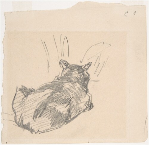 Figure 7. Édouard Manet, A Cat Resting on All Fours, Seen from Behind (1861, New York: The Metropolitan Museum of Art).