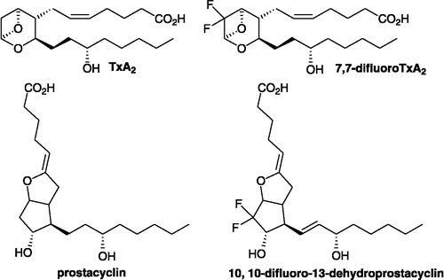 Figure 4 The use of fluorine substitution to extend the biological half-life, illustrated by (a) the platelet aggregating agent thromboxane A2 and its 7,7-difluoro derivative, and (b) natural prostacyclin and 10,10-difluoro-13-dehydro-prostacyclin.