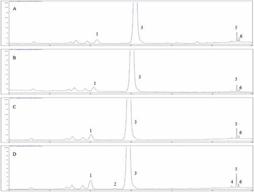 Figure 1. HPLC carotenoids chromatogram of Cassia tora seed at 0 h (A), 24 h (B), 48 h (C), and 72 h (D) after germination. Peak: 1. Lutein; 2. Zeaxanthin; 3. Trans-β-apo-8’-carotenal (internal standard); 4. 13Z-β-Carotene; 5. β-Carotene; 6. 9Z-β-Carotene.