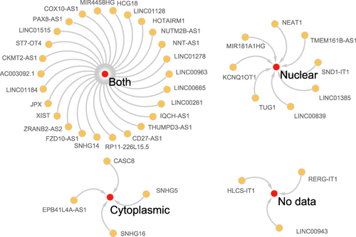 Figure 6 The subcellular localization of DElncRNAs. Red circles represent the intracellular distribution (nuclear; cytoplasm; both; no data) of 41 lncRNAs (Orange circles).