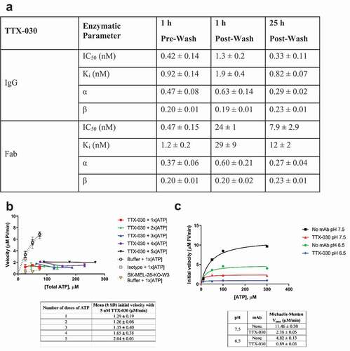 Figure 6. TTX-030 robustly inhibits CD39 under stressed and/or TME-like conditions. A, Washing unbound TTX-030 prior to adding ATP and extending the TTX-030 pre-incubation step from 1 h to 25 h had no effect on maximal inhibition, (1-β). However, the potency (Ki and IC50) was reduced, especially for TTX-030 Fab. SK-MEL-28 CD39-mediated ATPase initial velocities of Pi release as a function of ATP concentration were determined for a titration of TTX-030 (full length and Fab) and globally fit to the partial, mixed inhibition equation to obtain inhibitor constant, Ki, α, and β. α is a parameter that determines the mechanism of inhibition where α < 1 indicates an uncompetitive mechanism; β is a parameter that determines the extend of partial inhibition where zero indicates complete inhibition and 1.0 indicates no inhibition. Error, S.E., n= 1. IC50 was calculated from plotting initial velocities as a function of TTX-030 concentration for each ATP concentration and fitting to a three-parameter nonlinear regression model. Error, S.D., n= 3–4 across [ATP]. B, TTX-030 continued to inhibit cellular CD39 ATPase activity despite a continuous replenishment of an ATP reservoir. A dose titration of ATP was added to the reaction every 3 min and then the Pi release was determined over time. SK-MEL-28 CD39-mediated ATPase initial velocities as a function of ATP concentration were plotted for a titration of TTX-030. Only the first dose of ATP is shown for buffer only and isotype controls because the release of Pi was no longer at steady state at subsequent doses. Error bars, S.E., n= 1. C, TTX-030 (10 nM) maintained equal maximal inhibition of SK-MEL-28 CD39-mediated ATPase activity at pH 7.5 and TME-like pH 6.5. The Pi release velocity in the absence of TTX-030 was reduced at lower pH. Error bars, S.E., n= 1