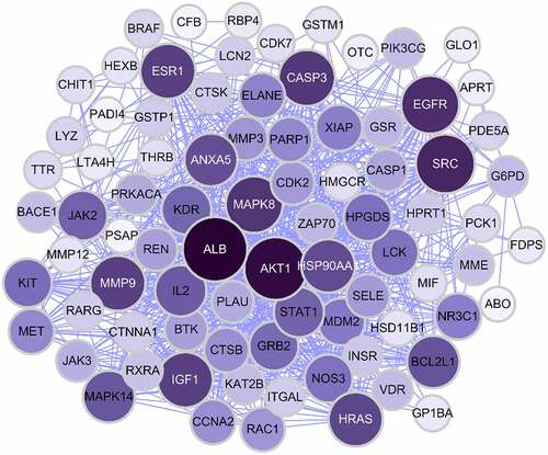 Figure 2. The nerwork of MGN-related targets