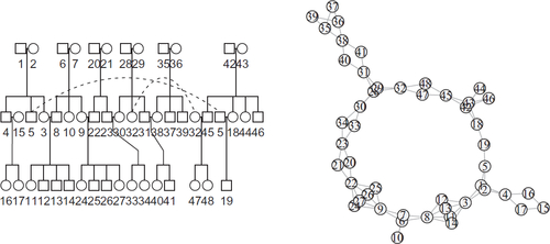 Fig. 1 Example of a family with 48 members and its graph representation. The left plot shows the pedigree of the family. Circles are females and squares are males. Dashed lines point to the same individual: the individual is shown with the siblings in one end and with the partner in the other end. The right plot shows the family illustrated as a graph with edges between parents and children as in Section 3.2.