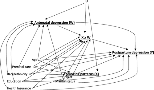 Figure 2 Directed acyclic graph (DAG). Primary exposure (X): smoking patterns; Secondary exposure (W): antenatal depression; Outcome (Y): postpartum depression; Interaction term (XxW): smoking x antenatal depression; Confounding variables: age, race/ethnicity, education, prenatal care, health insurance, and marital status. (U) other measured and unobserved/unmeasured confounders.