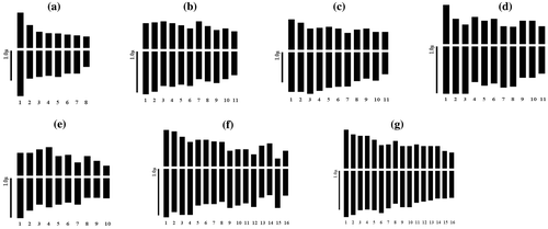 Figure 2. Ideograms in studied taxa. (a) Salvia viridis; (b) S. sclarea; (c) S. ceratophylla; (d) S. chionantha; (e) S. candidissima subsp. occidentalis; (f) S. viscosa; (g) S. verticillata subsp. amasiaca.