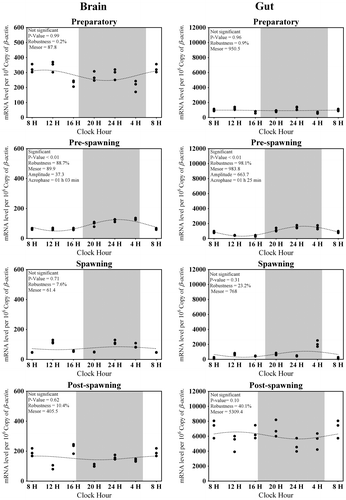 Figure 6. Changes in the expression of Hiomt in six different time points (8, 12, 16, 20, 24, and 4 h) in different seasons (n = 3) were fitted to nonlinear regression curve using the formula “Y = Mesor + Amplitude Cos (Frequency X + Acrophase)”.