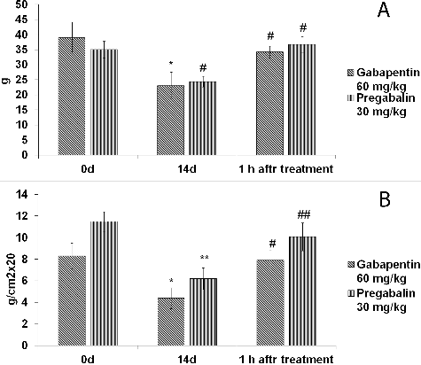 Figure 1. Effect of gabapentin and pregabalin on tactile (A) and mechanical (B) hyperalgesia in rat model of CCI-induced neuropathic pain.