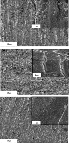 Figure 4. SEM of the surface electrode of IPMCs (a) FC-IPMC (b) VC-IPMC (c) CC-IPMC.