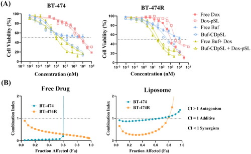 Figure 9. In vitro anti-proliferation effect of Buf and Dox alone or in combination (as free drug or in liposomes) to BT-474 and BT-474R cells. (A) Cell viability after treatment of 24 h (mean ± SD, n = 3 experiments, four wells for each concentration in each experiment). Concentrations of the combined therapy were expressed based on Buf. (B) CI showing synergism of Buf and Dox in BT-474 and BT-474R as both free drug and liposomal formulation.